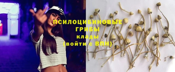 крисы Верея