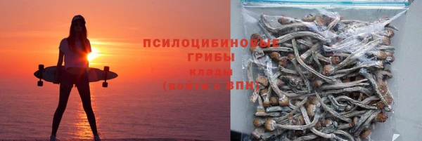крисы Верея