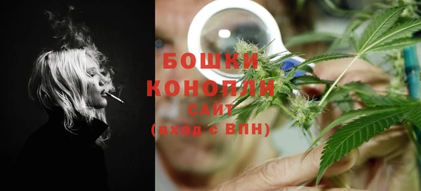крисы Верея