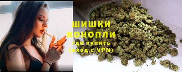 крисы Верея