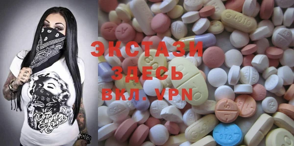 хмурый Тайга